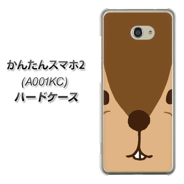 Y!mobile かんたんスマホ2 A001KC 高画質仕上げ 背面印刷 ハードケース【349 りす】