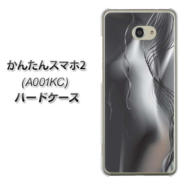 Y!mobile かんたんスマホ2 A001KC 高画質仕上げ 背面印刷 ハードケース【566 ボディウォール】