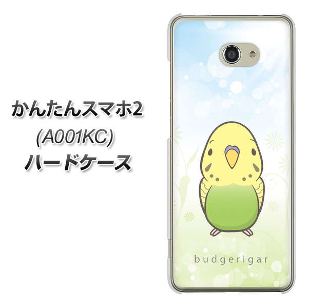 Y!mobile かんたんスマホ2 A001KC 高画質仕上げ 背面印刷 ハードケース【SC838 セキセイインコ グリーン】