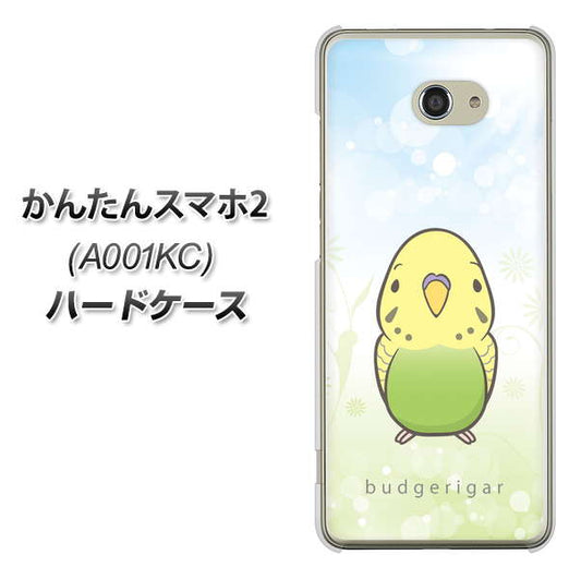 Y!mobile かんたんスマホ2 A001KC 高画質仕上げ 背面印刷 ハードケース【SC838 セキセイインコ グリーン】