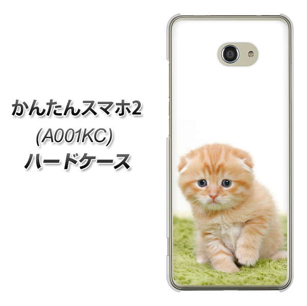 Y!mobile かんたんスマホ2 A001KC 高画質仕上げ 背面印刷 ハードケース【VA802 ネコこっそり】