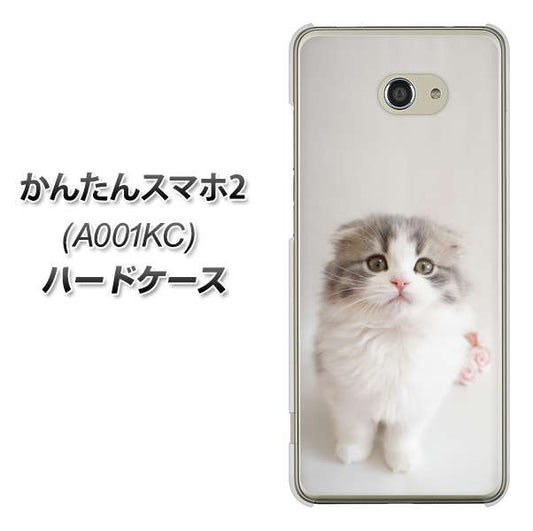 Y!mobile かんたんスマホ2 A001KC 高画質仕上げ 背面印刷 ハードケース【VA803 まっていますネコ】