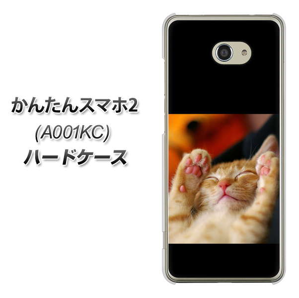 Y!mobile かんたんスマホ2 A001KC 高画質仕上げ 背面印刷 ハードケース【VA804 爆睡するネコ】