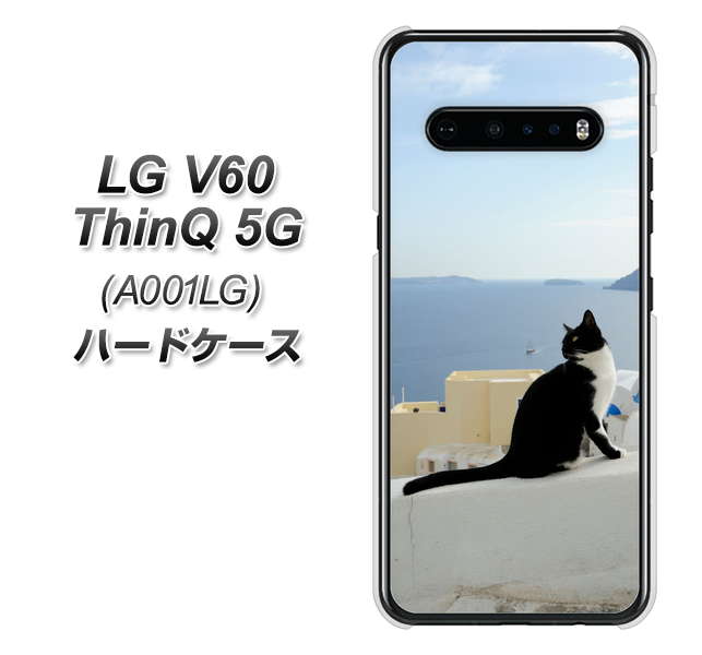 SoftBank LG V60 ThinQ 5G A001LG 高画質仕上げ 背面印刷 ハードケース【VA805 ネコと地中海】