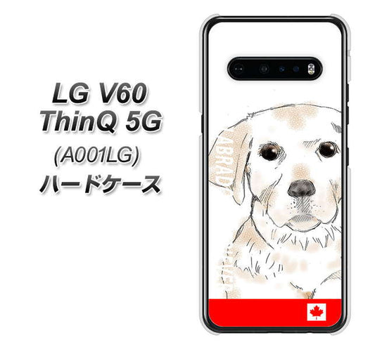 SoftBank LG V60 ThinQ 5G A001LG 高画質仕上げ 背面印刷 ハードケース【YD821 ラブラドールレトリバー02】