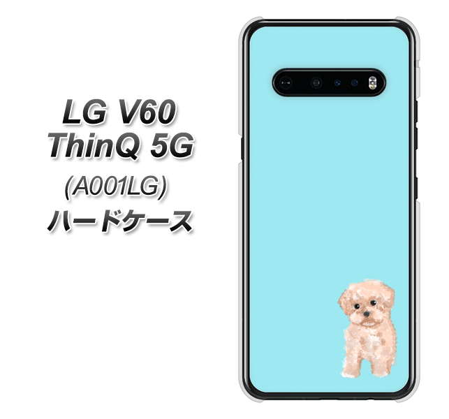 SoftBank LG V60 ThinQ 5G A001LG 高画質仕上げ 背面印刷 ハードケース【YJ062 トイプードルアプリコット(ブルー)】