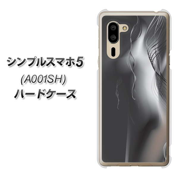 SoftBank シンプルスマホ5 A001SH 高画質仕上げ 背面印刷 ハードケース【566 ボディウォール】