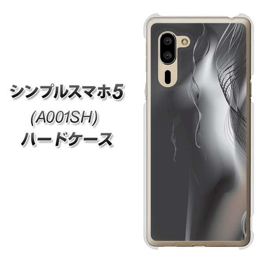SoftBank シンプルスマホ5 A001SH 高画質仕上げ 背面印刷 ハードケース【566 ボディウォール】