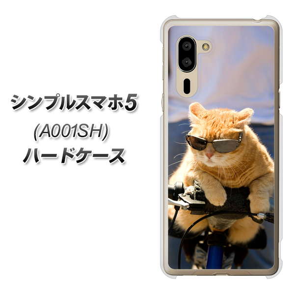 SoftBank シンプルスマホ5 A001SH 高画質仕上げ 背面印刷 ハードケース【595 にゃんとサイクル】