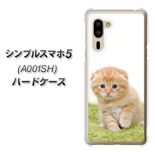 SoftBank シンプルスマホ5 A001SH 高画質仕上げ 背面印刷 ハードケース【VA802 ネコこっそり】