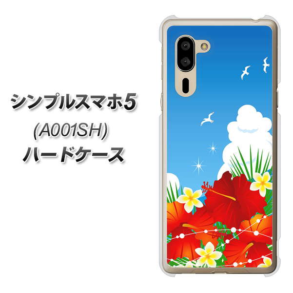 SoftBank シンプルスマホ5 A001SH 高画質仕上げ 背面印刷 ハードケース【VA821 ハイビスカスと青空】