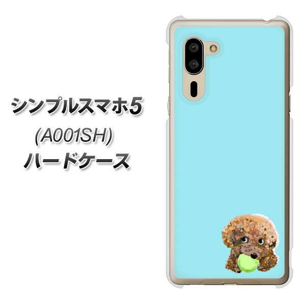 SoftBank シンプルスマホ5 A001SH 高画質仕上げ 背面印刷 ハードケース【YJ054 トイプードル&ボール(ブルー)】