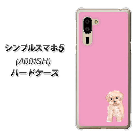 SoftBank シンプルスマホ5 A001SH 高画質仕上げ 背面印刷 ハードケース【YJ061 トイプードルアプリコット(ピンク)】