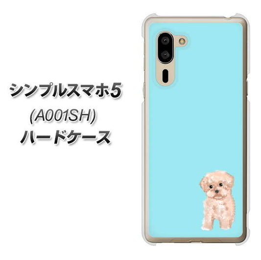 SoftBank シンプルスマホ5 A001SH 高画質仕上げ 背面印刷 ハードケース【YJ062 トイプードルアプリコット(ブルー)】