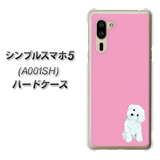 SoftBank シンプルスマホ5 A001SH 高画質仕上げ 背面印刷 ハードケース【YJ069 トイプードルホワイト(ピンク)】