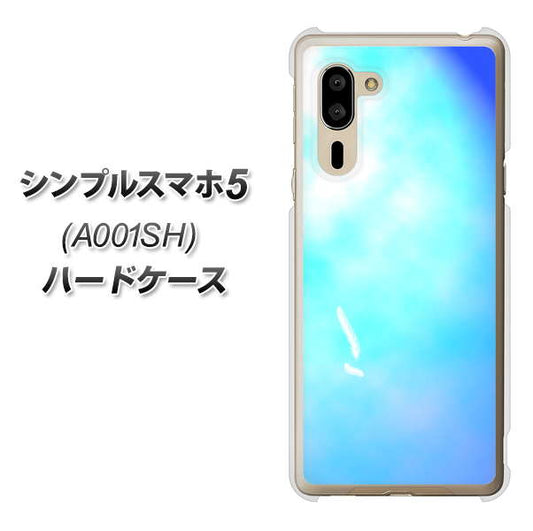 SoftBank シンプルスマホ5 A001SH 高画質仕上げ 背面印刷 ハードケース【YJ291 デザイン 光】