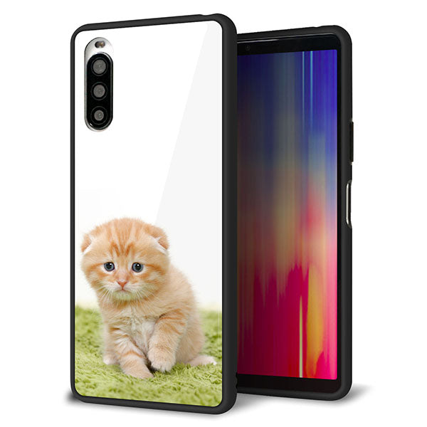 Y!mobile エクスペリア10 II A001SO 強化ガラス&TPUスマホケース ガラプリ【VA802 ネコこっそり】