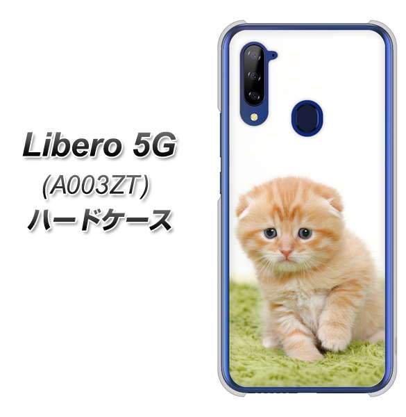 Y!mobile ZTE リベロ5G A003ZT 高画質仕上げ 背面印刷 ハードケース【VA802 ネコこっそり】