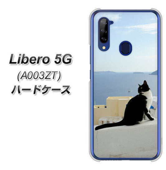 Y!mobile ZTE リベロ5G A003ZT 高画質仕上げ 背面印刷 ハードケース【VA805 ネコと地中海】