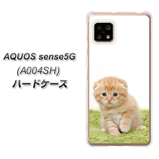 SoftBank アクオスセンス5G A004SH 高画質仕上げ 背面印刷 ハードケース【VA802 ネコこっそり】