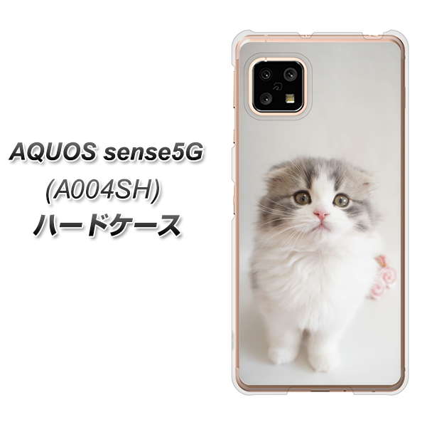 SoftBank アクオスセンス5G A004SH 高画質仕上げ 背面印刷 ハードケース【VA803 まっていますネコ】
