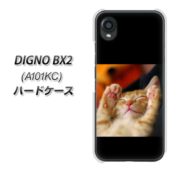 DIGNO BX2 A101KC SoftBank 高画質仕上げ 背面印刷 ハードケース【VA804 爆睡するネコ】