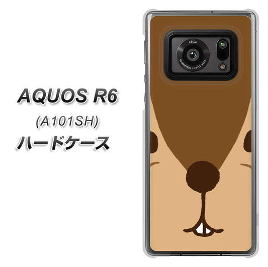アクオスR6 A101SH 高画質仕上げ 背面印刷 ハードケース【349 りす】