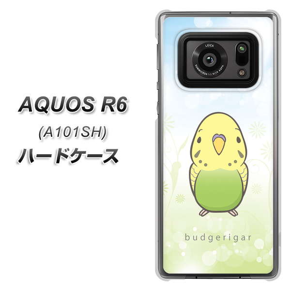 アクオスR6 A101SH 高画質仕上げ 背面印刷 ハードケース【SC838 セキセイインコ グリーン】