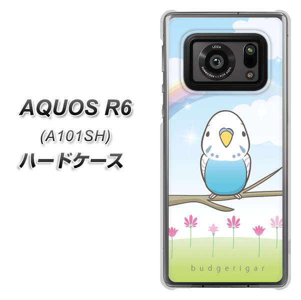 アクオスR6 A101SH 高画質仕上げ 背面印刷 ハードケース【SC839 セキセイインコ ブルー】
