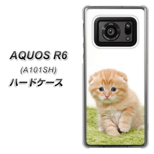 アクオスR6 A101SH 高画質仕上げ 背面印刷 ハードケース【VA802 ネコこっそり】