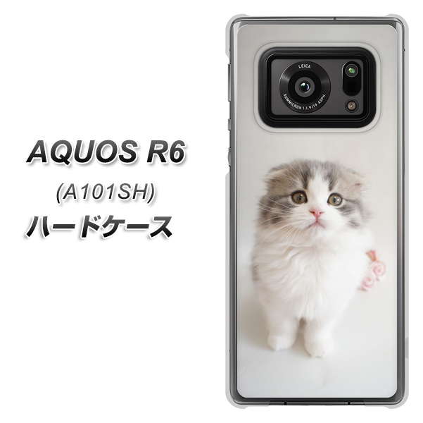 アクオスR6 A101SH 高画質仕上げ 背面印刷 ハードケース【VA803 まっていますネコ】