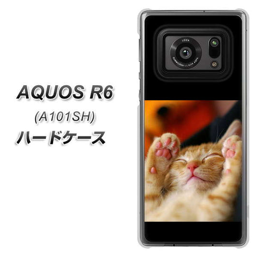 アクオスR6 A101SH 高画質仕上げ 背面印刷 ハードケース【VA804 爆睡するネコ】
