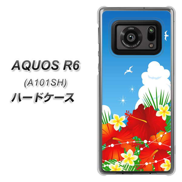 アクオスR6 A101SH 高画質仕上げ 背面印刷 ハードケース【VA821 ハイビスカスと青空】