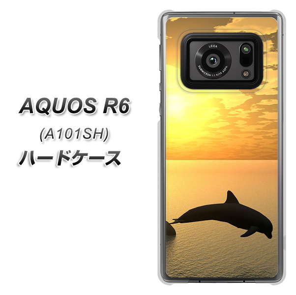 アクオスR6 A101SH 高画質仕上げ 背面印刷 ハードケース【VA845 夕暮れのドルフィン】