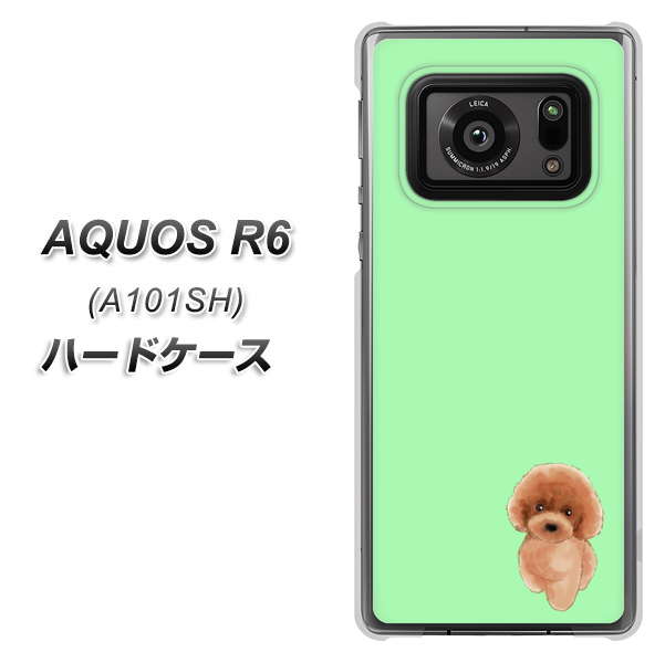 アクオスR6 A101SH 高画質仕上げ 背面印刷 ハードケース【YJ052 トイプードルレッド( グリーン)】