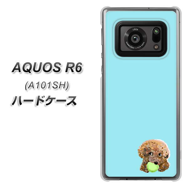 アクオスR6 A101SH 高画質仕上げ 背面印刷 ハードケース【YJ054 トイプードル&ボール(ブルー)】