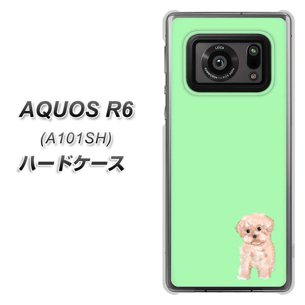 アクオスR6 A101SH 高画質仕上げ 背面印刷 ハードケース【YJ063 トイプードルアプリコット(グリーン)】