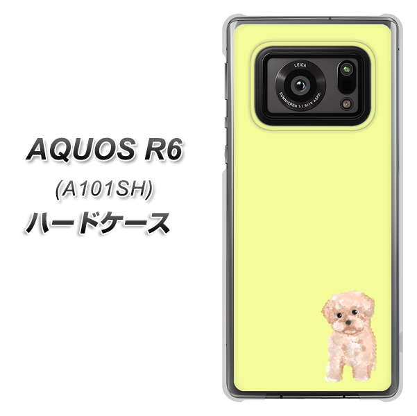 アクオスR6 A101SH 高画質仕上げ 背面印刷 ハードケース【YJ064 トイプードルアプリコット(イエロー)】