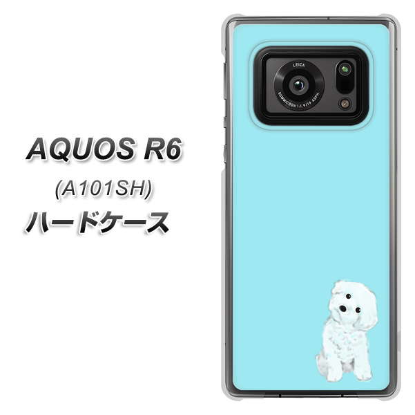 アクオスR6 A101SH 高画質仕上げ 背面印刷 ハードケース【YJ070 トイプードルホワイト(ブルー)】