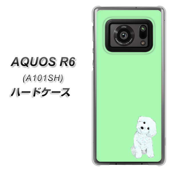 アクオスR6 A101SH 高画質仕上げ 背面印刷 ハードケース【YJ071 トイプードルホワイト(グリーン)】