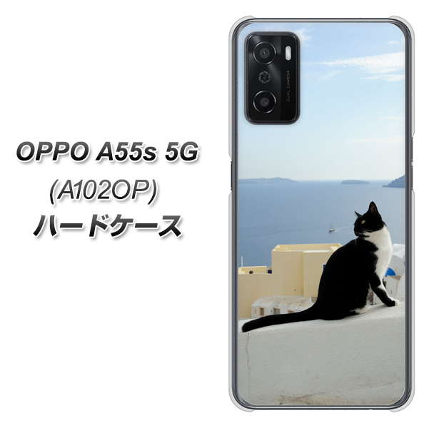 OPPO A55s 5G A102OP SoftBank 高画質仕上げ 背面印刷 ハードケース【VA805 ネコと地中海】