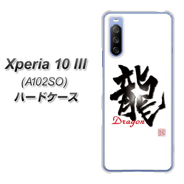Y!mobile エクスペリア10 III A102SO 高画質仕上げ 背面印刷 ハードケース【OE804 龍ノ書】