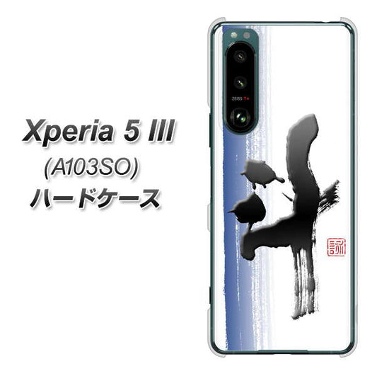 Xperia 5 III A103SO SoftBank 高画質仕上げ 背面印刷 ハードケース【OE829 斗】