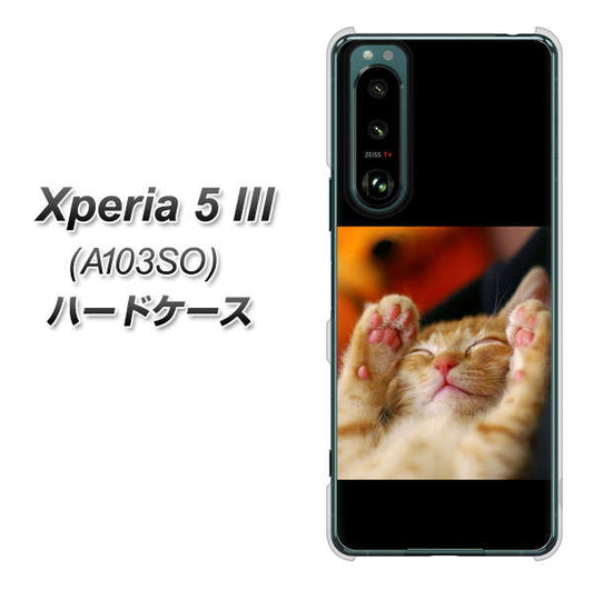 Xperia 5 III A103SO SoftBank 高画質仕上げ 背面印刷 ハードケース【VA804 爆睡するネコ】