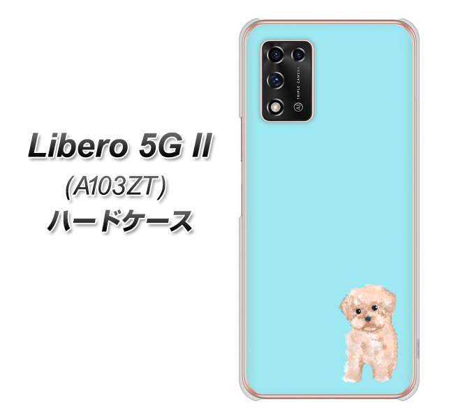 Libero 5G II A103ZT Y!mobile 高画質仕上げ 背面印刷 ハードケース【YJ062 トイプードルアプリコット(ブルー)】