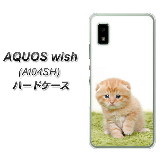 AQUOS wish A104SH Y!mobile 高画質仕上げ 背面印刷 ハードケース【VA802 ネコこっそり】