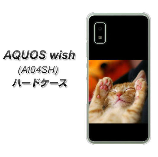AQUOS wish A104SH Y!mobile 高画質仕上げ 背面印刷 ハードケース【VA804 爆睡するネコ】