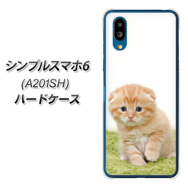 シンプルスマホ6 A201SH SoftBank 高画質仕上げ 背面印刷 ハードケース【VA802 ネコこっそり】