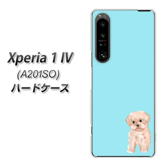Xperia 1 IV A201SO SoftBank 高画質仕上げ 背面印刷 ハードケース【YJ062 トイプードルアプリコット(ブルー)】