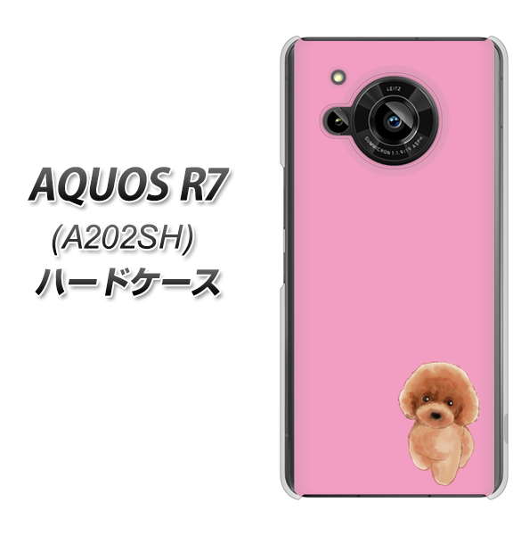 AQUOS R7 A202SH SoftBank 高画質仕上げ 背面印刷 ハードケース【YJ049 トイプードルレッド(ピンク)】